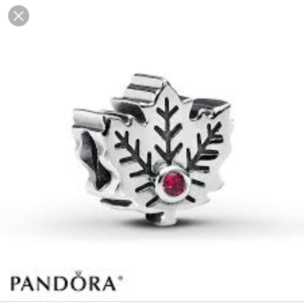 AUTHENTIC Retired Pandora Canadian Charm